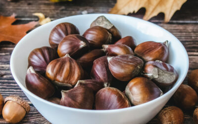 La Tradició de la Castanyera a Catalunya: Origens, Curiositats i Propietats Alimentàries de les Castanyes
