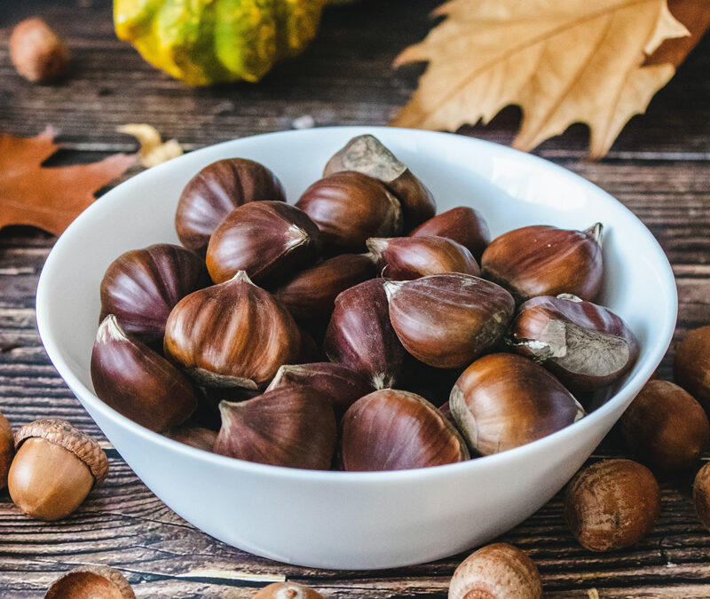 La Tradició de la Castanyera a Catalunya: Origens, Curiositats i Propietats Alimentàries de les Castanyes