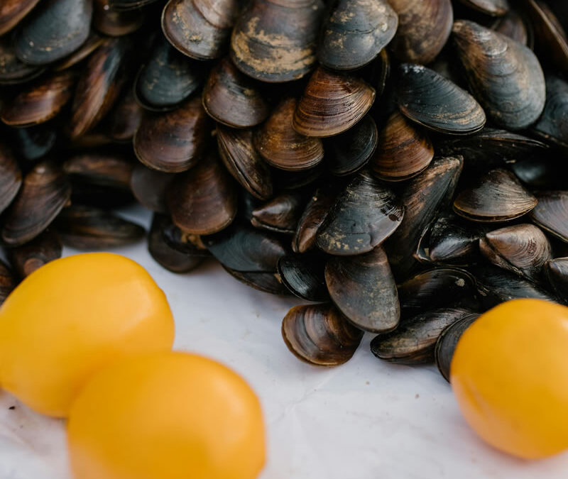 Musclos també a l’agost